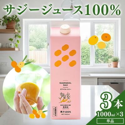 ふるさと納税 古河市 サジージュース 100% 1000ml×3本セット | サジー シーベリー 沙棘 _DX07