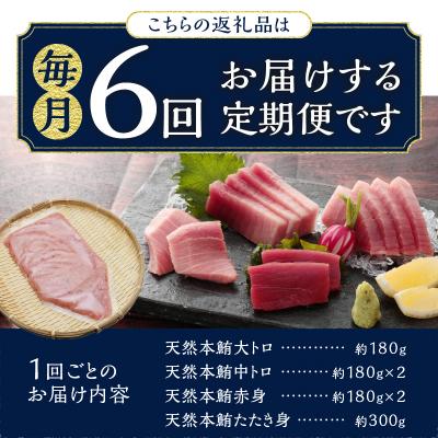 ふるさと納税 焼津市 定期便 天然本まぐろ 6回お届け(b300-015) |  | 03