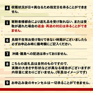 【予約受付】 特大さんま 150g以上 5尾 冷蔵 期間限定 [発送:2025年9月～2025年11月下旬頃まで] 三陸 岩手 大船渡市 サンマ さんま 秋刀魚 季節限定 鮮秋刀魚