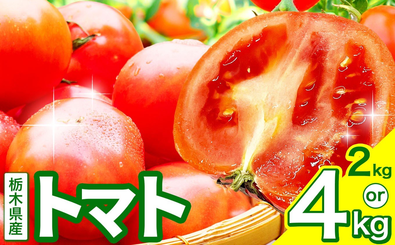 
                  トマト 約2㎏～4㎏ 株式会社 誠和が作るトマト  |  とまと  野菜 選べる内容量 旬野菜 とれたて 冬 春 人気 フレッシュ みずみずしい 甘み うまみ ほどよい酸味 彩り サラダ向き 料理に使いやすい ジューシー 季節の味 とれたて 新鮮 国産 完熟 旬 食卓を彩る 野菜本来の味 風味豊か 送料無料 栃木県 下野市
                