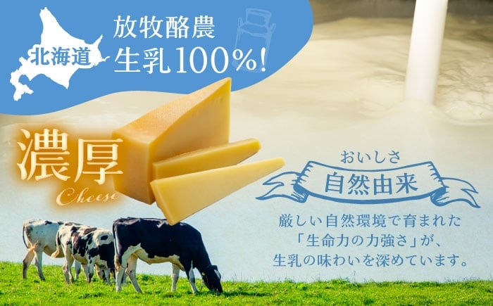 北海道産 十勝 チーズ フォンデュ ラクレット 温泉水 乳製品 生乳 加工品