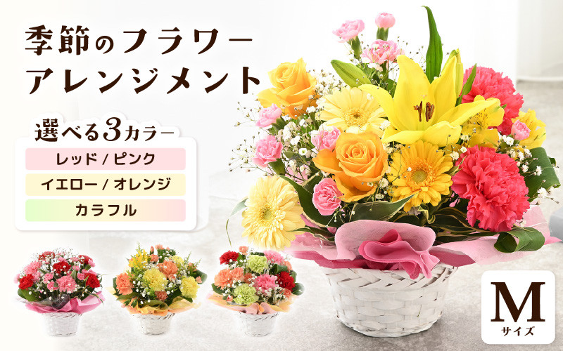 
            【父の日】 選べるカラー 季節のフラワーアレンジメント M 【カラー：レッド・ピンク / イエロー・オレンジ / カラフル】 レビューキャンペーン実施中！ 【お花 フラワー アレジメント 花束 ギフト 生花 プレゼント 花束 花 記念日 お祝い】 [A-20702] 
          