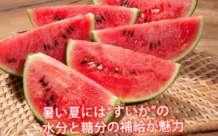 訳あり 大玉すいか 1玉 約6kg〜9kg 送料無料 スイカ すいか 益城町産 お取り寄せ お取り寄せグルメ 西瓜 フルーツ 【2025年5月下旬～7月下旬発送予定】