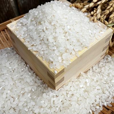 ふるさと納税 千早赤阪村 《白米2kg》大阪府千早赤阪村産　棚田米