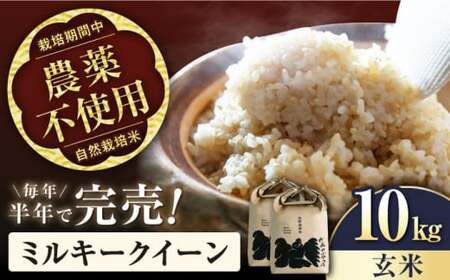 【令和6年度産】自然栽培米ミルキークイーン　5kg玄米×2袋　滋賀県長浜市/株式会社お米の家倉[AQCP005]