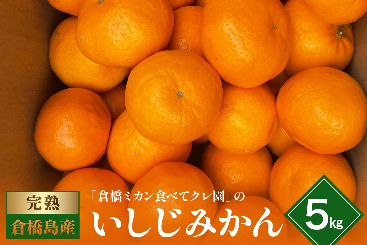 
            【2025年12月初旬～発送】倉橋ミカン食べてクレ園 いしじみかん 約5kg ku154-001-25
          