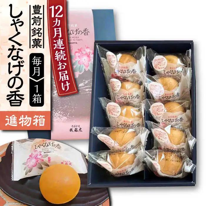 【全12回定期便】【進物箱】しゃくなげの香 10個 VBU022 白餡をカステラ饅頭の生地で包み焼き