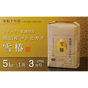 【定期便 3ヶ月】【令和7年産】魚沼産コシヒカリ 雪椿 5kg(5kg×1袋) × 3回 特別栽培米