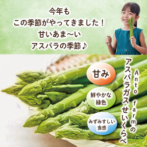 アスパラガス Lサイズ 1kg アスパラガス
