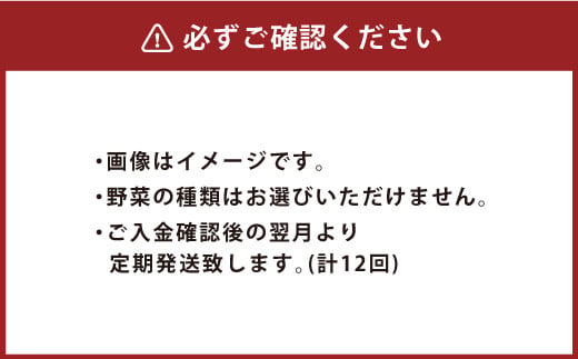 竹田市産！季節の『野菜箱』12ヶ月 定期便 【1箱あたり:8~12種】