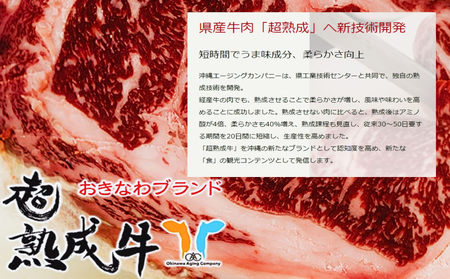 おきなわブランド【超熟成牛】と琉球在来【アグー豚】セット