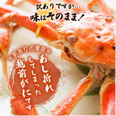 ふるさと納税 越前町 地元鮮魚店厳選 【訳あり】 ≪浜茹で≫ 足折れ 越前がに 中サイズ 1杯【2月発送分】 |  | 01