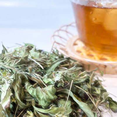 ふるさと納税 尾張旭市 ステビア乾燥茶葉(100g) |  | 02