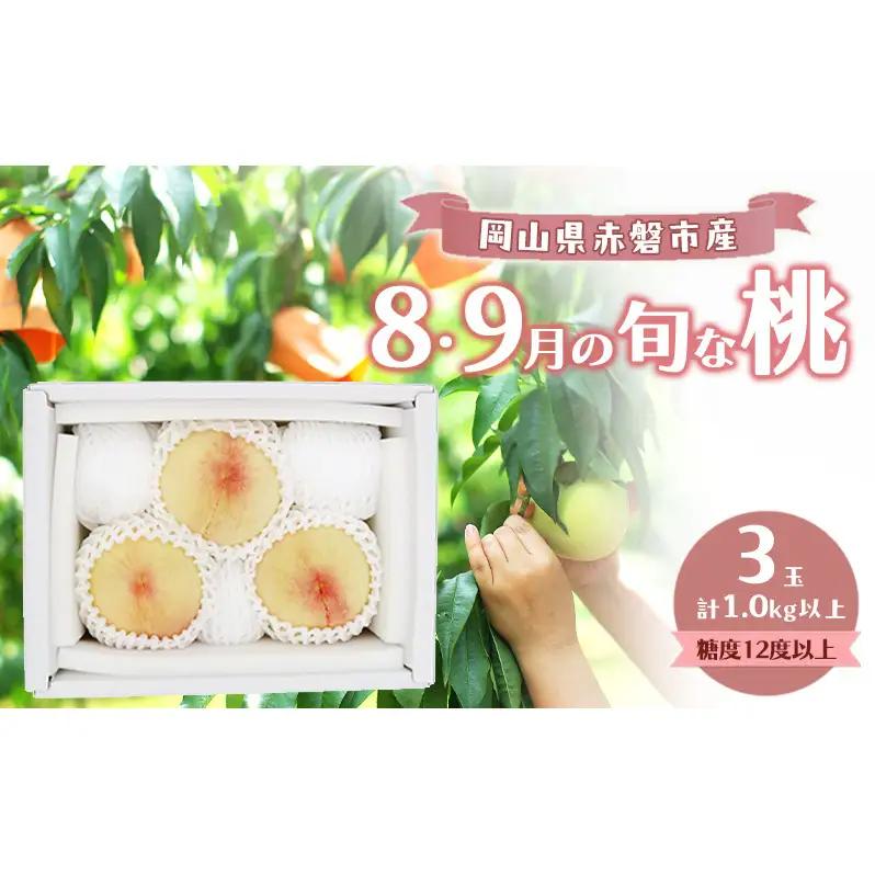 桃 数量限定 岡山の白桃 『8・9月の旬な桃』 3玉 計1.0kg以上 糖度12度以上 桃