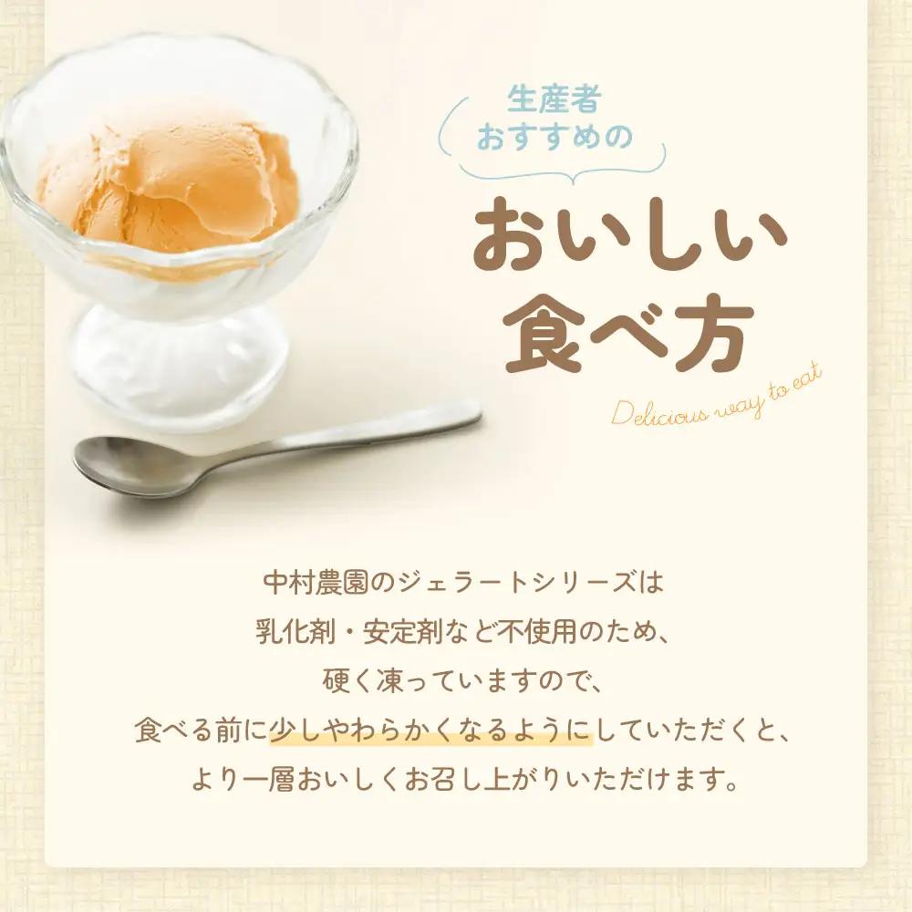 NN-06　安心安全な無添加柿ジェラート3種詰め合わせ（農家の休日）アイス 柿 ジェラート デザート アイス 柿 ジェラート デザート アイス 柿 ジェラート デザート アイス 柿 ジェラート デザー