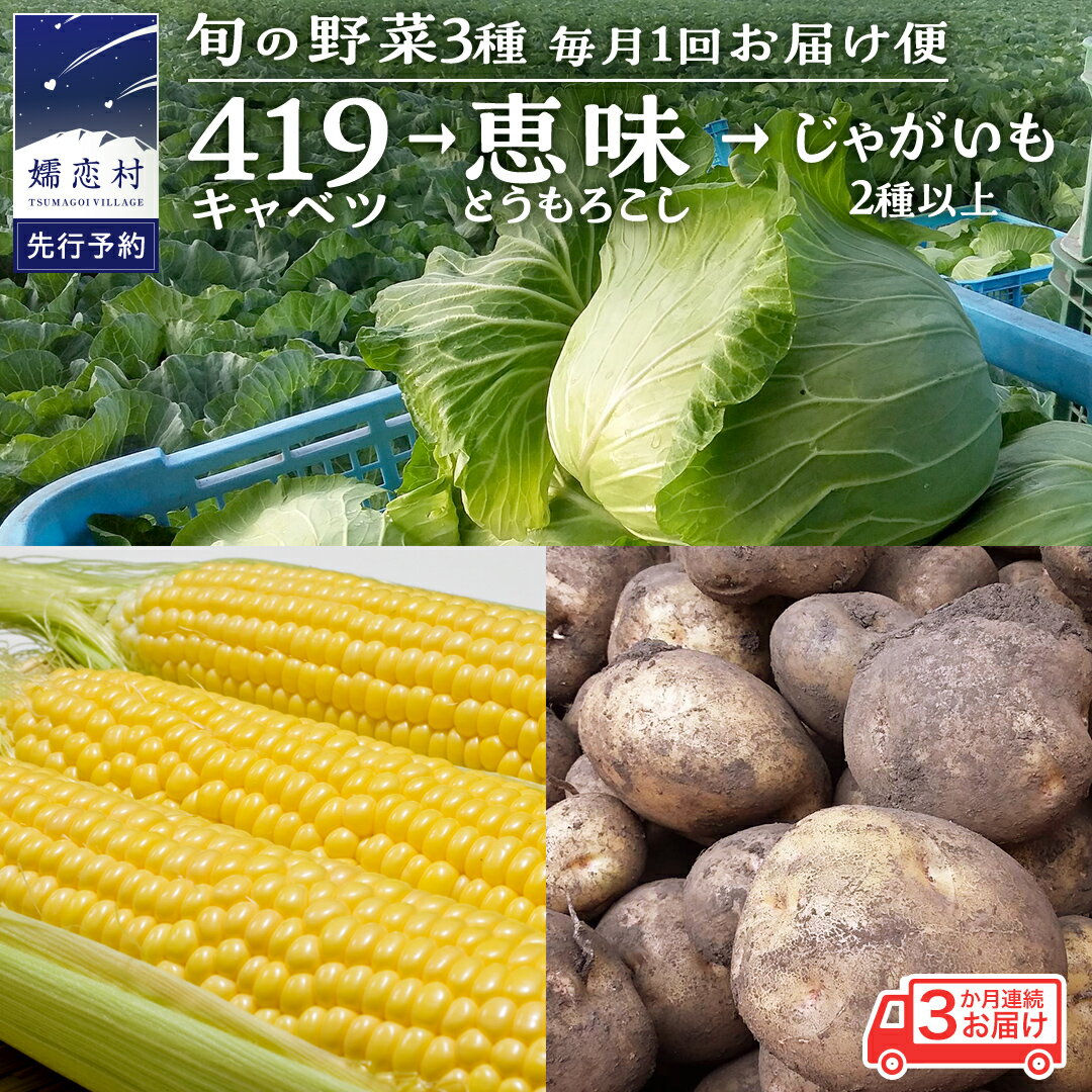 【ふるさと納税】 ≪ レビューキャンペーン ≫ 【 2025年 7月 発送開始 】 《3か月定期便》旬の野菜3種 419キャベツ 恵味トウモロコシ じゃがいも きゃべつ 嬬恋キャベツ 嬬恋村産キャベツ 羽生田売店 幻のキャベツ419 産地直送 期間限定 先行予約 旬の野菜 [AL018tu]