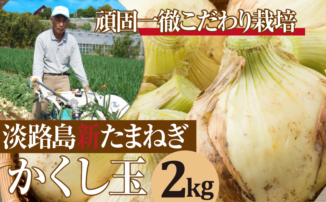 【新たまねぎ】今井ファームの淡路島たまねぎ「かくし玉」 2kg【発送時期2026年4月下旬～5月頃】　[新玉ねぎ]