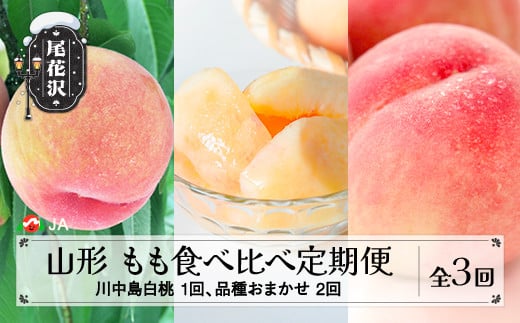 全3回 山形もも食べ比べ定期 便 秀品 7月下旬頃~発送 令和7年産 2025年産 白桃 モモ 果物 フルーツ 山形県産 送料無料 沖縄・離島への配送不可 JA ja-tkmox