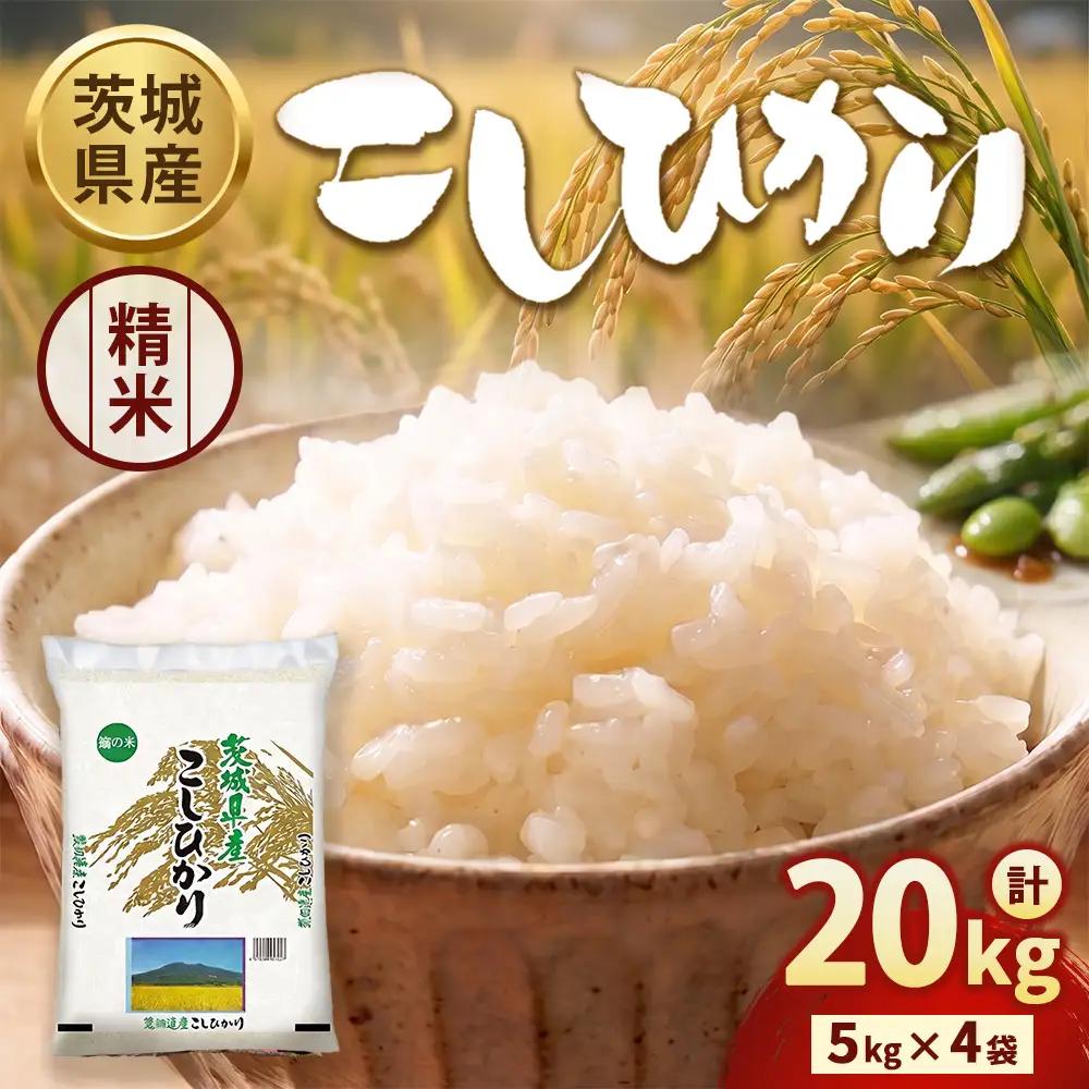 【令和8年産】茨城コシヒカリ 20㎏（5kg×4袋）【精米】 | お米 米 こしひかり 茨城県産 白米 ブランド米 小分け