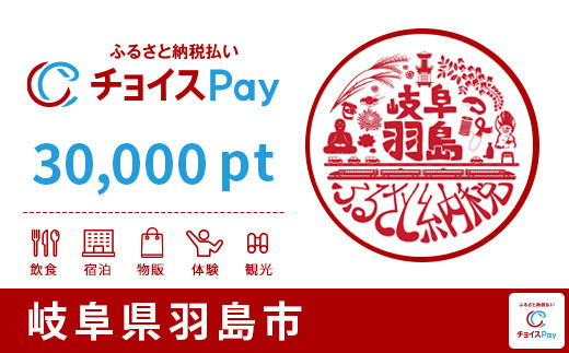 
羽島市チョイスPay30,000pt（1pt＝1円）【会員限定のお礼の品】
