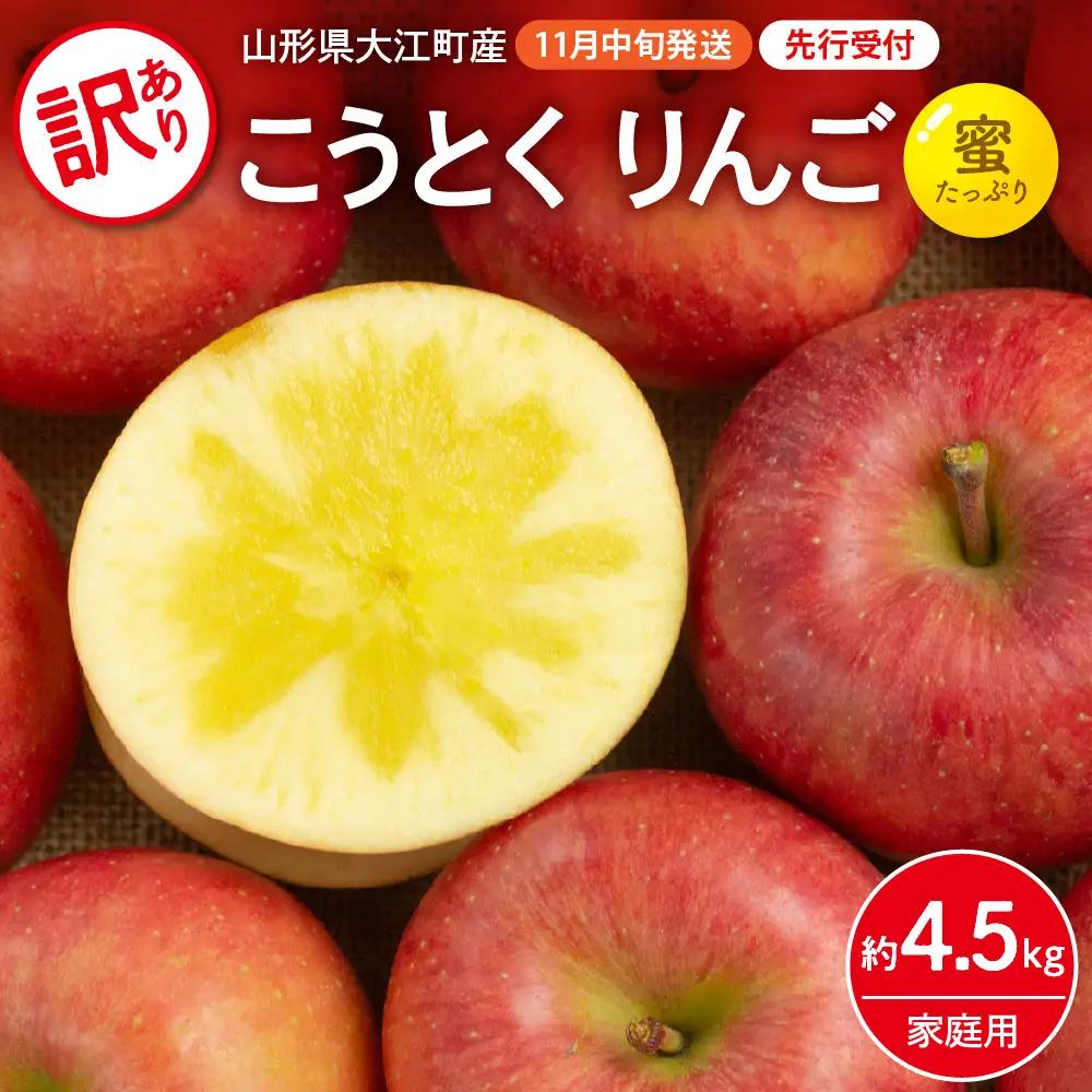  《先行受付》訳ありこうとくりんご約4.5kg 【2026年11月中旬頃～発送予定】【大江町産・山形りんご・大地農産・11月・12月】 028-025