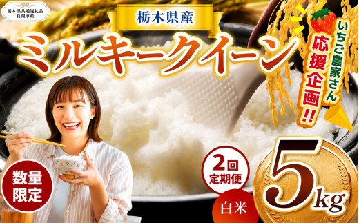 【定期2回】 訳あり 数量 限定 令和8年度産 ミルキークイーン 約 5kg | とちぎの星 ミルキークイーン  玄米 白米 ごはん おいしい  ふるさと納税 那珂川町 栃木県【栃木県共通返礼品】