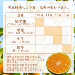 家庭用 訳あり 有田みかん 和歌山  2L,3Lサイズ 5kg【10月上旬～1月下旬頃に順次発送】/ みかん フルーツ 果物 くだもの 有田みかん 蜜柑 柑橘【ktn011】