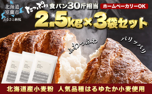 
            北海道産 はるゆたかブレンド小麦粉 シルバーライズ（パン用強力粉）7.5kg 【 ふるさと納税 人気 おすすめ ランキング 小麦 小麦粉 粉 シルバーライズ はるゆたか ブレンド パン用 強力粉 穀物 国産 北海道産 食パン パン こむぎ こむぎこ  ギフト 贈答 プレゼント 贈り物 北海道 室蘭市 送料無料 】 MROBI015
          