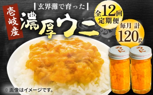 【全12回定期便】壱岐産 濃厚 ウニ 60g ×2本《壱岐市》【合同会社塚元】ムラサキウニ 海産物 海鮮 うに 雲丹 珍味 [JDR036]