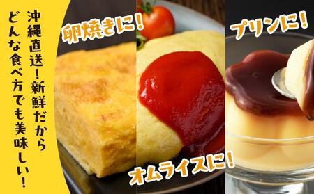 卵の黄身が掴めるほどの新鮮さ 美ら卵養鶏場の卵 80個【3ヶ月定期便】