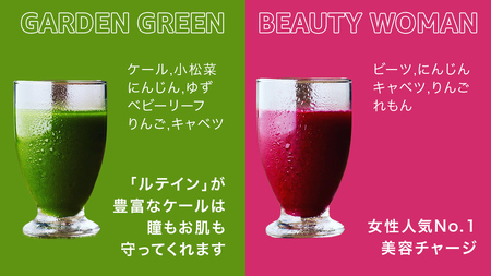 【1日ファスティングに最適】1day fasting コールドプレスジュース 6本セット 360ml×6種