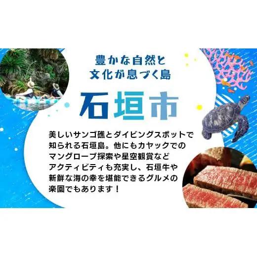 HISの沖縄県石垣市の対象商品に使えるふるさと納税クーポン券60,000円分 HS-5