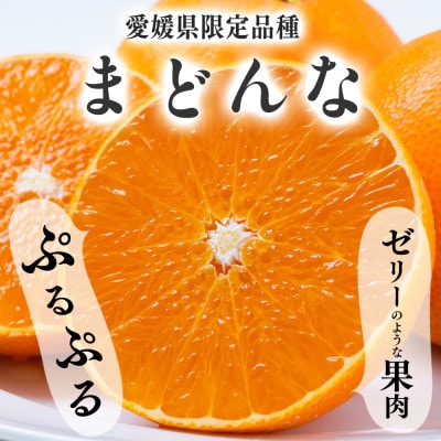 【夕やけブランド】ぷるぷる食感【まどんな】+【夕やけみかん】各2kgセット【C49−23】【1416636】