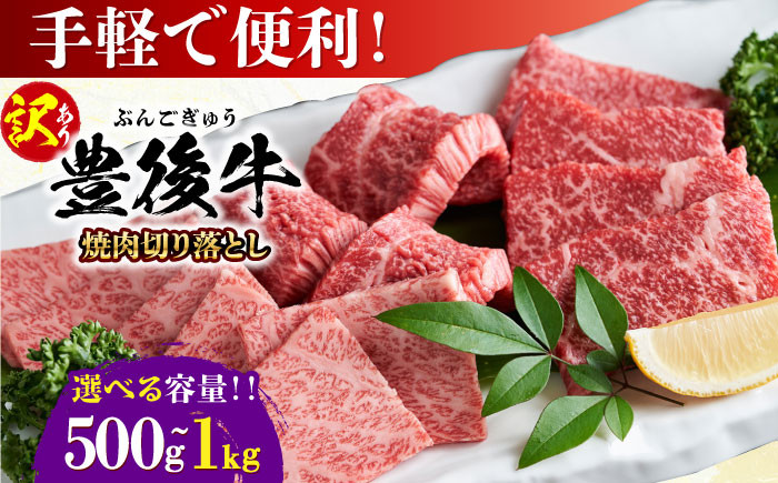 
            【選べる容量・訳あり】おおいた豊後牛 焼肉 切り落とし 500g or 1kg 日田市 / 株式会社MEAT PLUS　牛 うし 黒毛和牛 和牛 豊後牛 [AREI032-033]
          