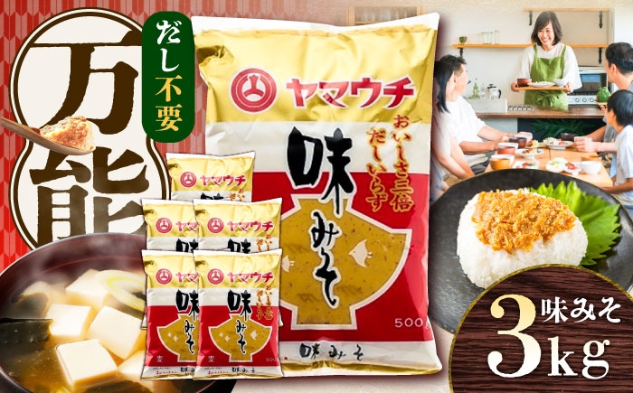 
            味みそ3kg(500g×6袋)【株式会社山内本店】 [BHAE045]
          
