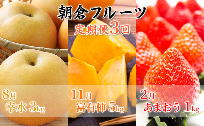定期便 フルーツ 3回 お届け 数量限定 朝倉 フルーツ定期便 