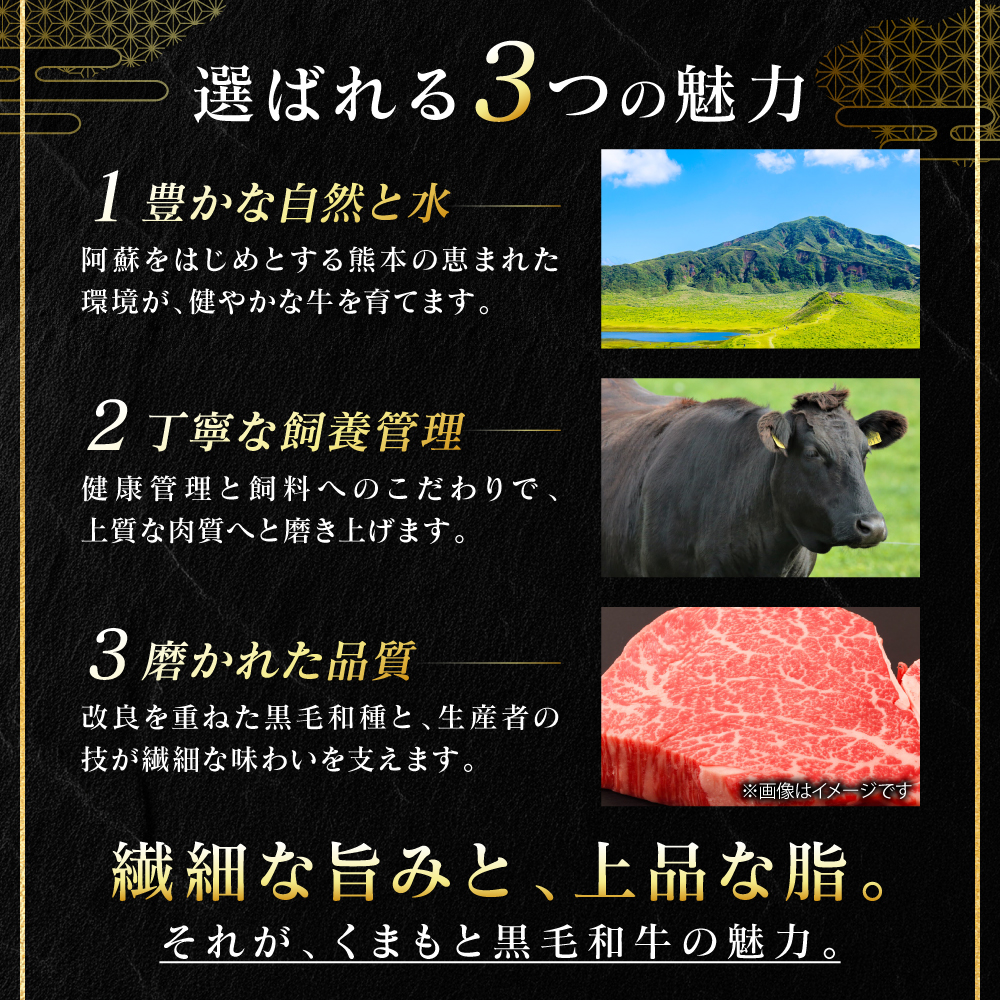 【A4～A5ランク】 【厳選希少部位】 くまもと黒毛和牛 芯ロース ブロック 約300g  (約300g×1パック) 和牛 ブロック 牛肉 お肉 ロース 黒毛和牛 冷凍 小分け 焼肉 熊本県 八代市_