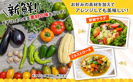 【2026年発送】北海道産 有機 野菜BOX 8種類 詰め合わせ セット 採れたて 夏野菜 オーガニック 旬 新鮮 詰め合わせ お取り寄せ 産地直送 産直 野菜 農作物 ギフト 野菜セット 