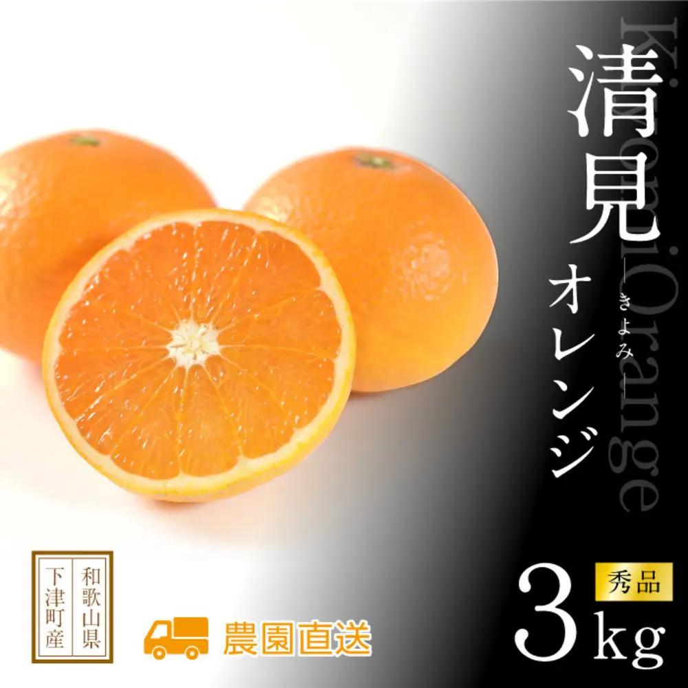 清見オレンジ 約3kg 《2027年3月から出荷予定》期間限定 フルーツ 果物 清見オレンジ みかん