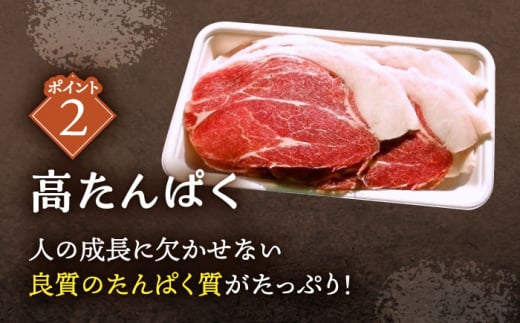 【6回定期便】ジビエ 天然イノシシ肉 肩ロース or ロース スライス500g【照本食肉加工所】 [OAJ043] / 肉 猪 猪肉 イノシシ イノシシ肉 いのしし しし肉 しし鍋 ボタン鍋 ジビエ