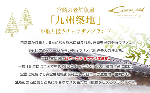 チョウザメの切り身70g×8パックセット 魚介 真空パック カット済み 国産 切身 宮崎県【B687】