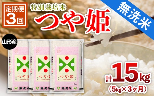 【定期便3回】山形産 特別栽培米 【無洗米】 つや姫 5kg×3ヶ月(計15kg) FY25-445