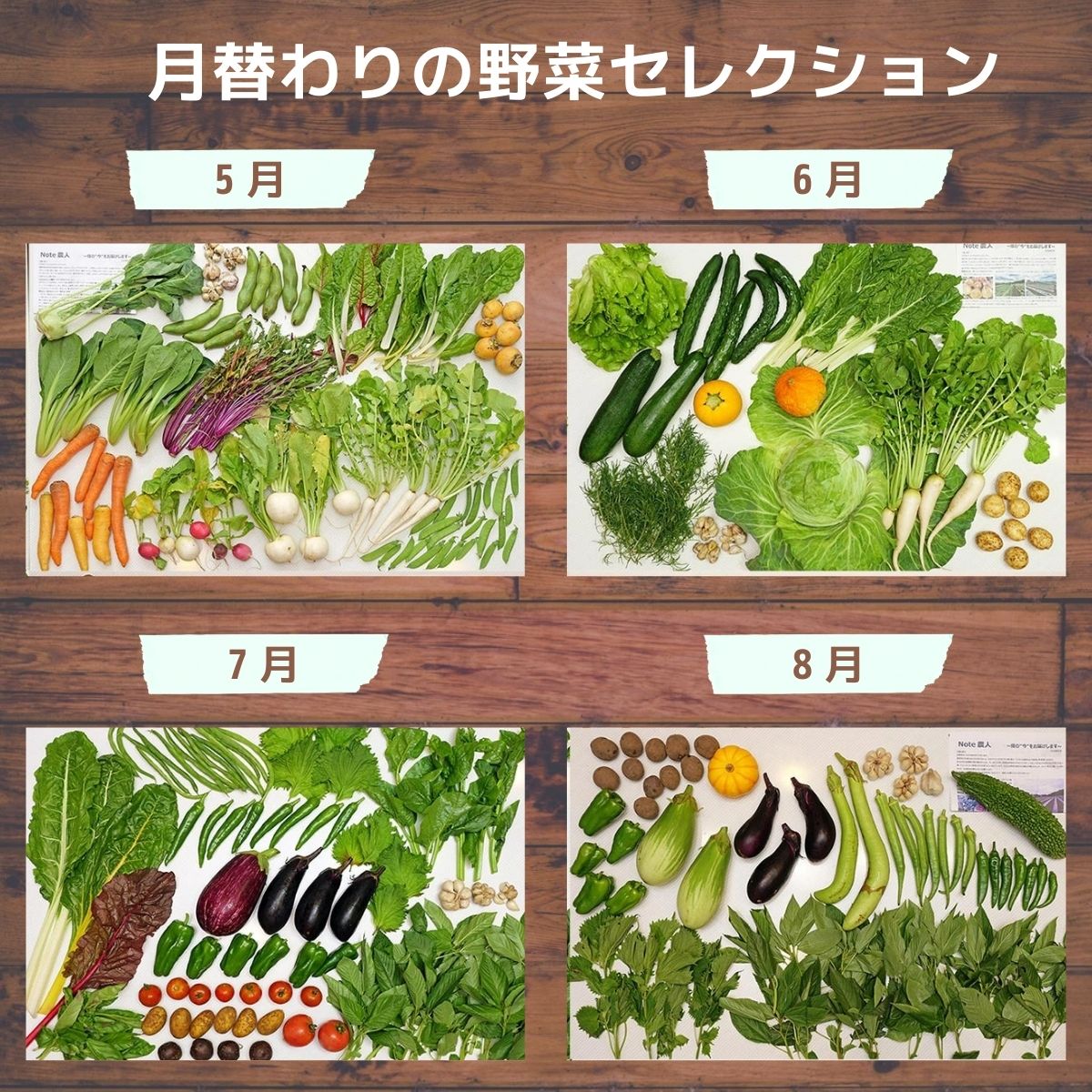 ＜6ヵ月定期便＞オーガニックファーム所沢農人の旬の野菜詰め合わせ(7～8種) | 埼玉県 所沢市 野菜 野菜詰合せ 野菜セット 詰め合わせ 詰合せ セット おいしい おすすめ プレゼント ギフト お取