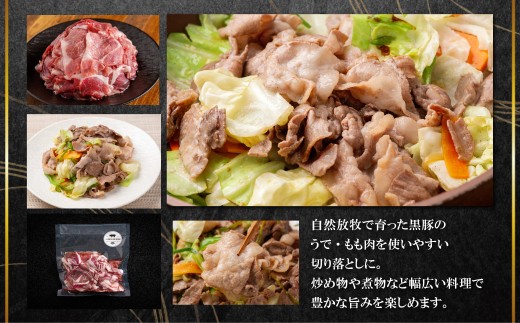 【定期3ヶ月】黒豚切り落とし（うで・もも） 300g×5 【 ふるさと納税 人気 おすすめ ランキング 北海道産 十勝 黒豚 豚肉 うで モモ 切り落とし 自宅用 BBQ ギフト 贈答用 贈り物 鹿追