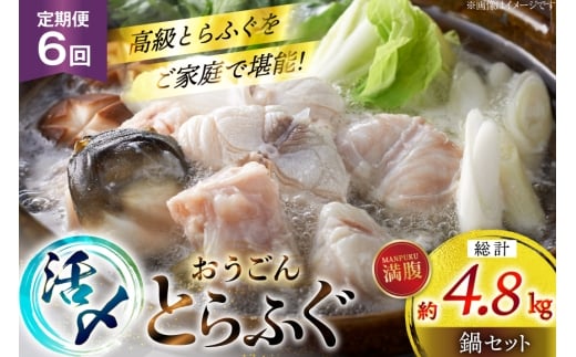 ふぐ 鍋 セット 活〆 おうごんとらふぐ 満腹 鍋セット 約800g 6回 定期便 総計 約4.8kg [松永水産 長崎県 平戸市 hr42bgy400188] とらふぐ フグ 河豚 てっちり ふぐちり ふぐ料理 魚介 さかな 切り身 冷凍 海鮮 ふぐ鍋 唐揚げ