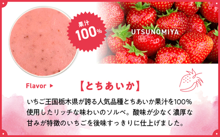 ユアジェラート 宇都宮市×うるま市友 好都市記念 オリジナルジェラート 6個セット｜とちあいか いちご マンゴー きび糖 沖縄 琉球 人気 ジェラート 詰め合わせ アイス スイーツ 果汁100% フル