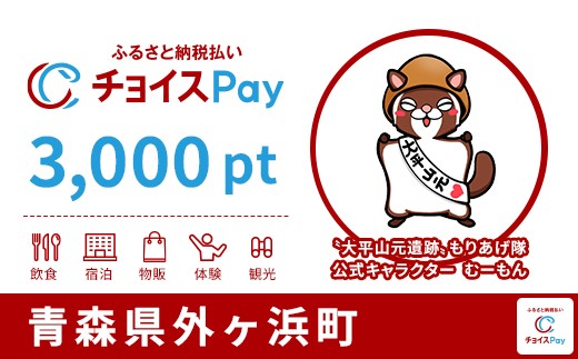 
                  外ヶ浜町チョイスPay 3,000pt【会員限定のお礼の品】
                