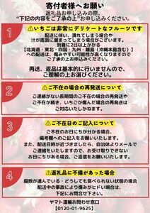 【予約受付】南伊豆町産いちご（紅ほっぺ）合計1,800g（約300g×6パック）　2020年第31回静岡県いちご果実品評会入賞　【いちご イチゴ 冷凍 冷凍いちご フローズン 紅ほっぺ フルーツ 静岡