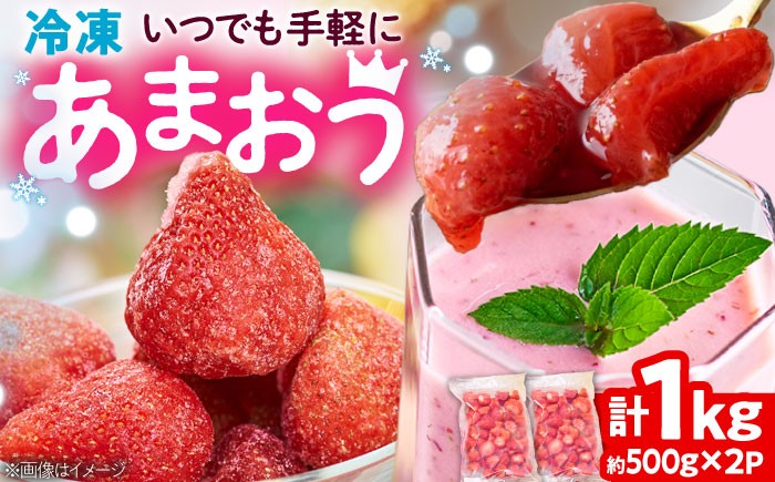 
                  【2026年4月以降順次発送】冷凍あまおう苺 1kg (約500g×2袋) 吉富町/南国フルーツ株式会社 [BGAG001] いちご イチゴ 苺 あまおう 冷凍いちご 冷凍イチゴ 国産 福岡県 果物 フルーツ アイス シャーベット ジャム スムージー 冷凍フルーツ 福岡県
                