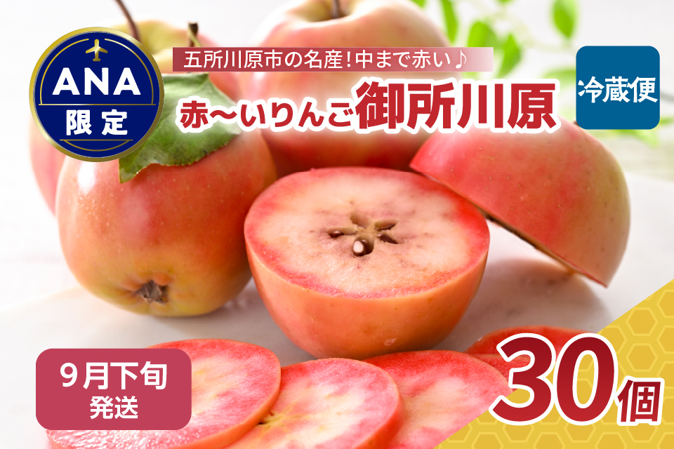 【ＡＮＡ限定】【 9月 下旬】 りんご レア品種 御所川原 約3.5kg（30個） 青森 五所川原【 リンゴ 林檎 果物 フルーツ 】
